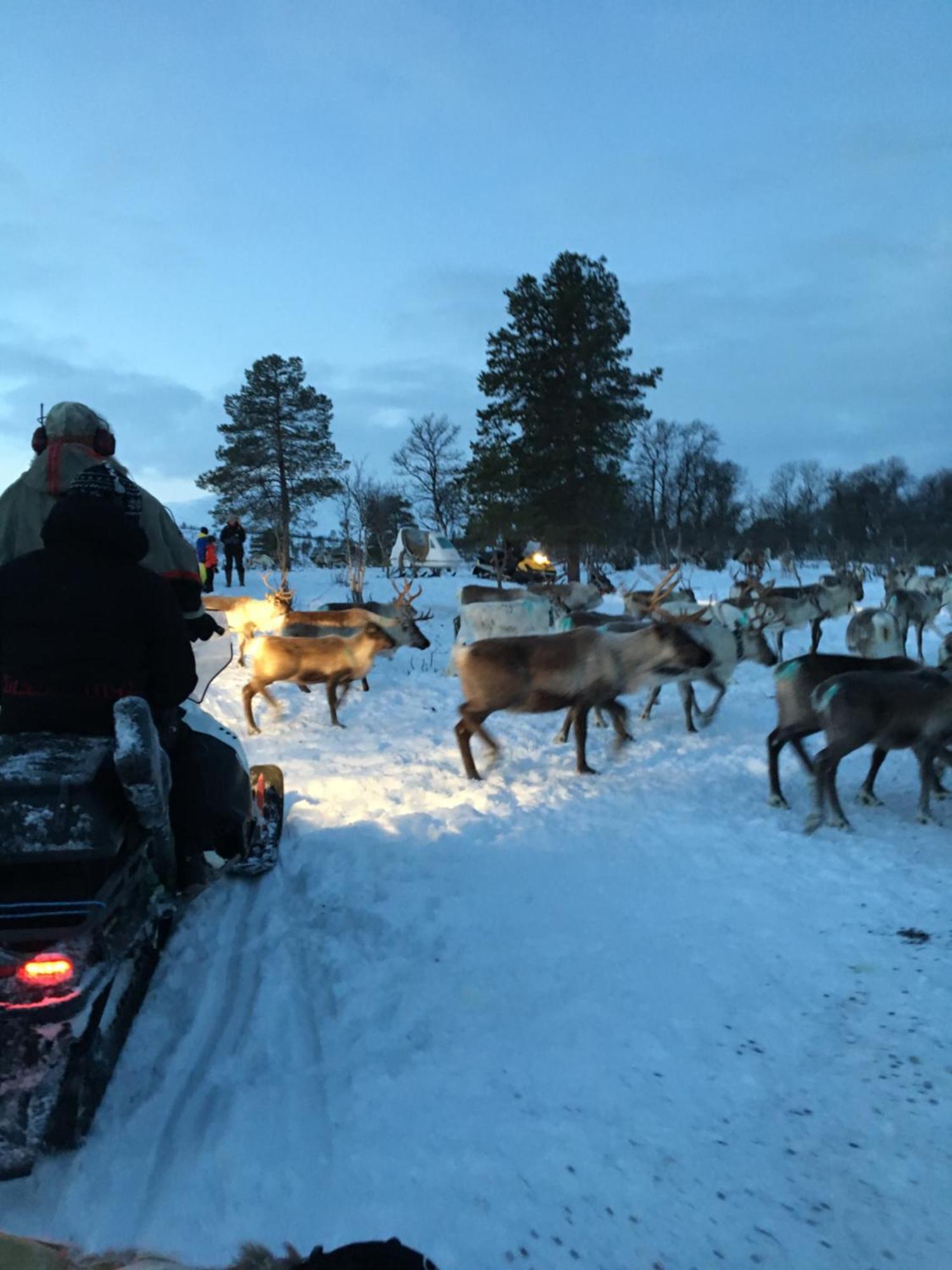 Bardufoss Hotell Bagian luar foto
