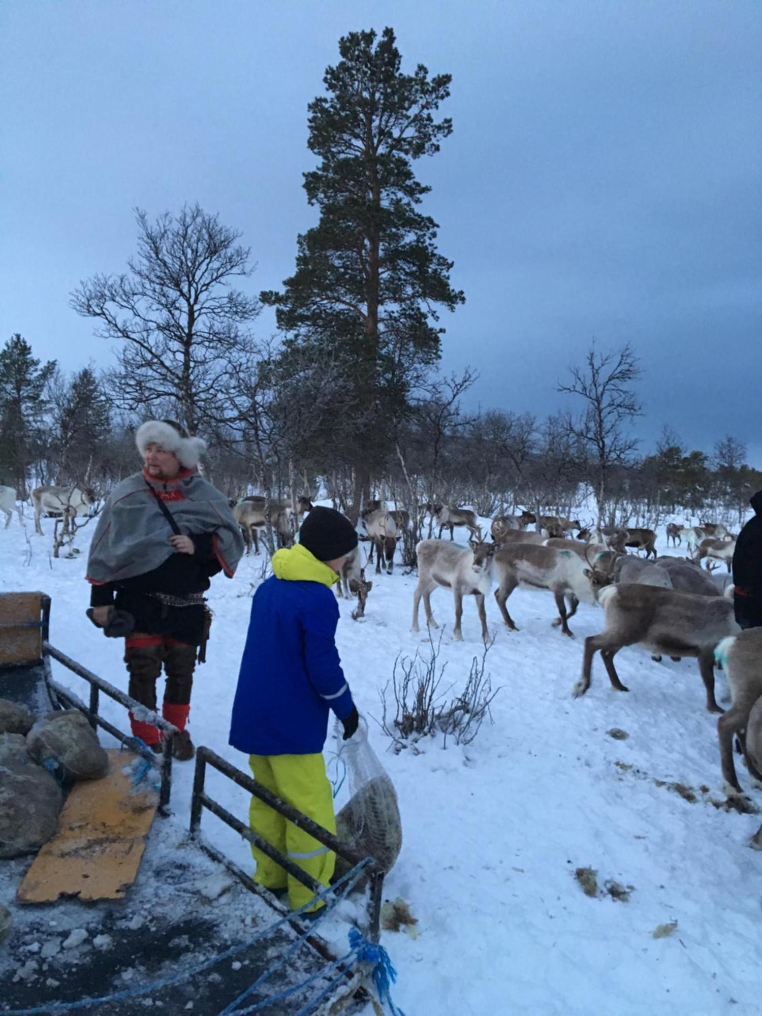 Bardufoss Hotell Bagian luar foto