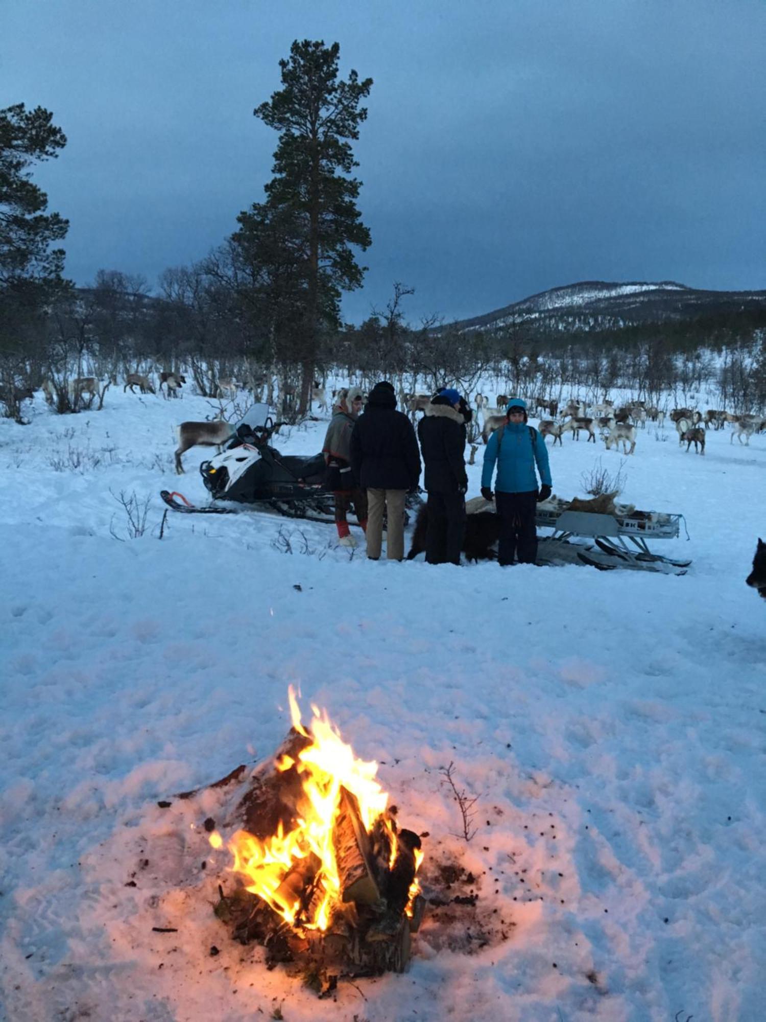 Bardufoss Hotell Bagian luar foto